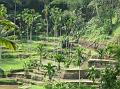 2007 07 17 BALI 0038